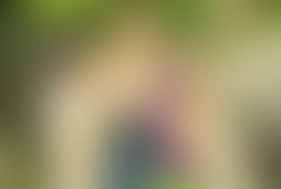 Фотографія квесту Тайна джунглей від компанії Лабиринты (Фото 2)