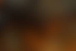 Фотографія квесту Атака кобри від компанії QuestPark (Фото 1)